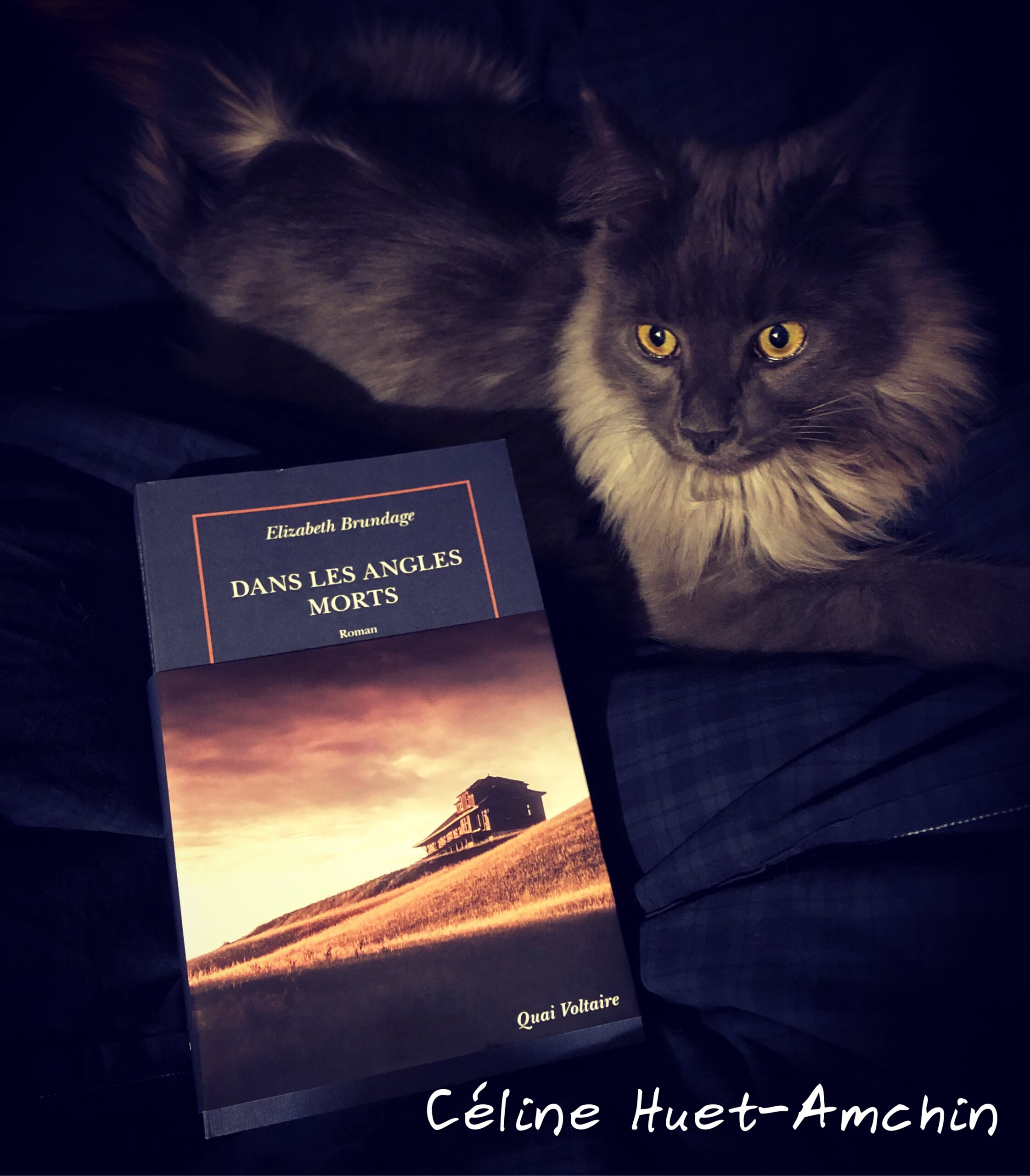 Dans les angles morts Elizabeth Brundage Quai Voltaire Gallimard