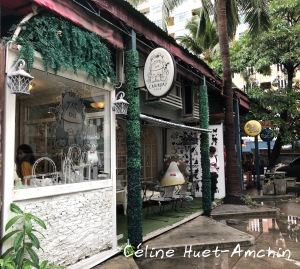 Caturday Cat Café Bangkok Thaïlande Asie