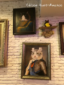 Caturday Cat Café Bangkok Thaïlande Asie