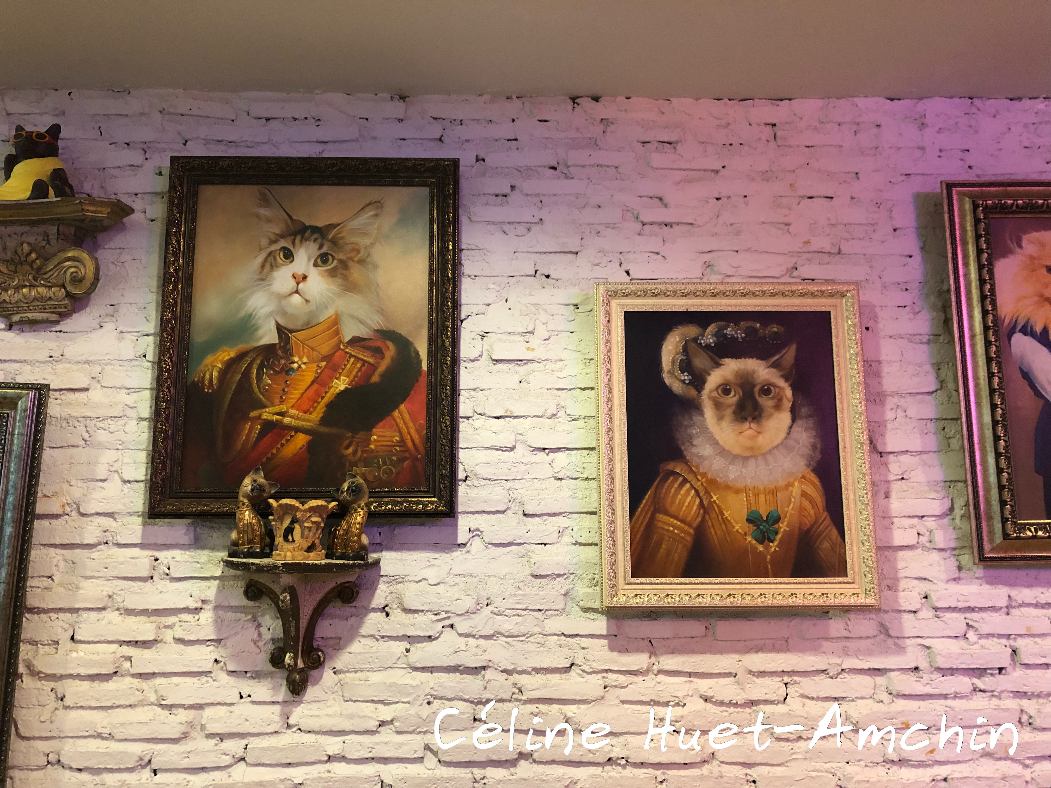 Caturday Cat Café Bangkok Thaïlande Asie