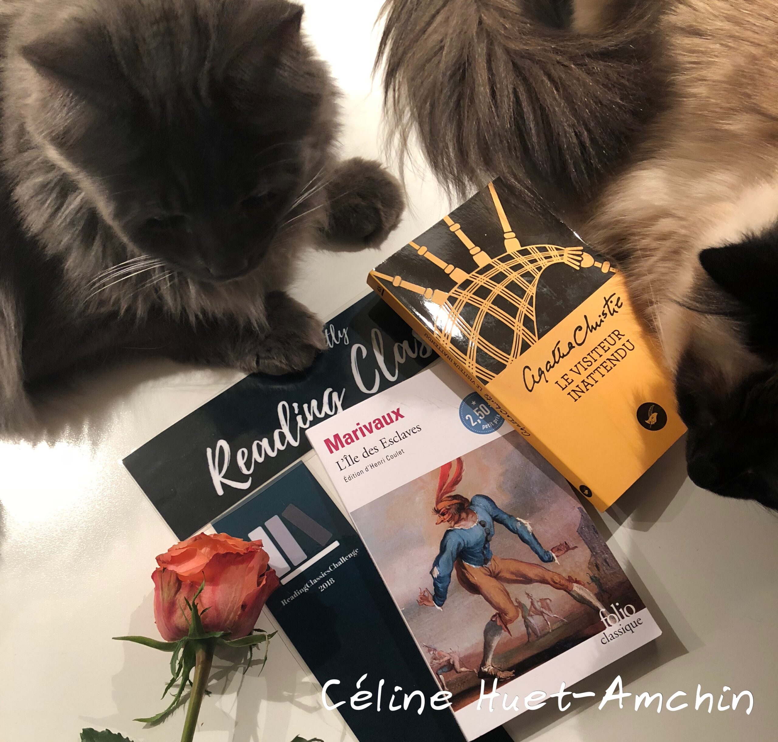 « L&rsquo;Ile des Esclaves » de Marivaux…