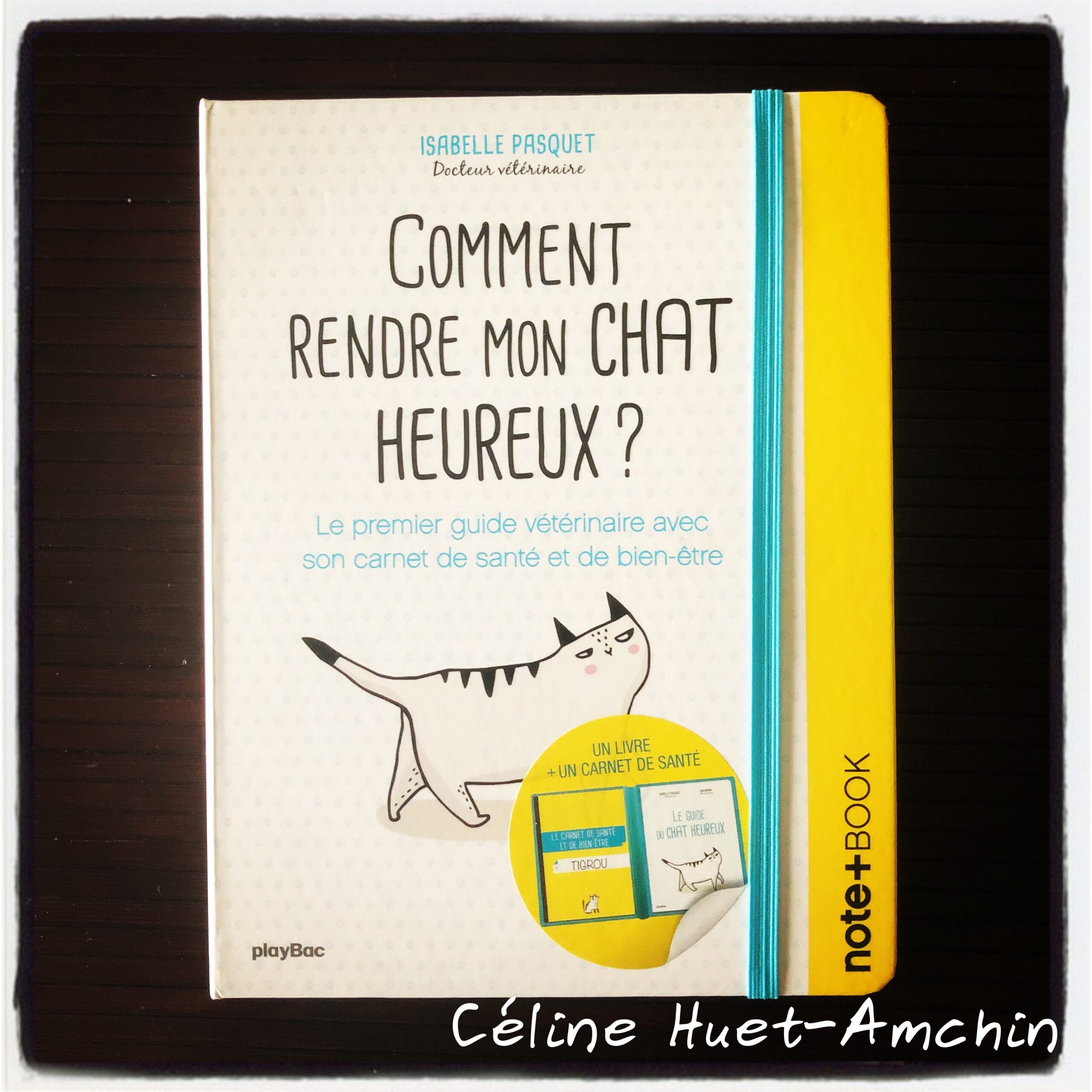 « Comment rendre mon chat heureux ? » d&rsquo;Isabelle Pasquet…