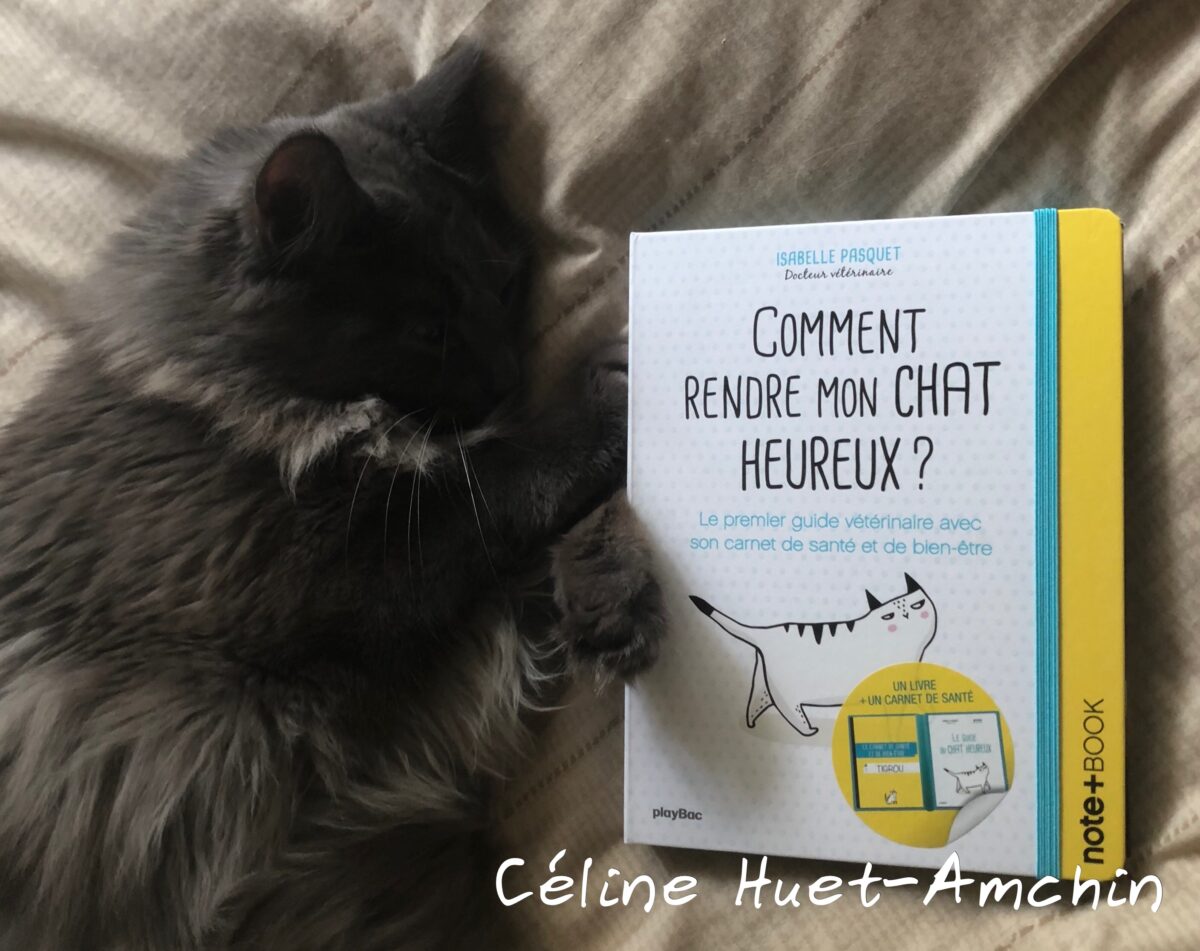 Comment rendre mon chat heureux ? Isabelle Pasquet Editions Playbac