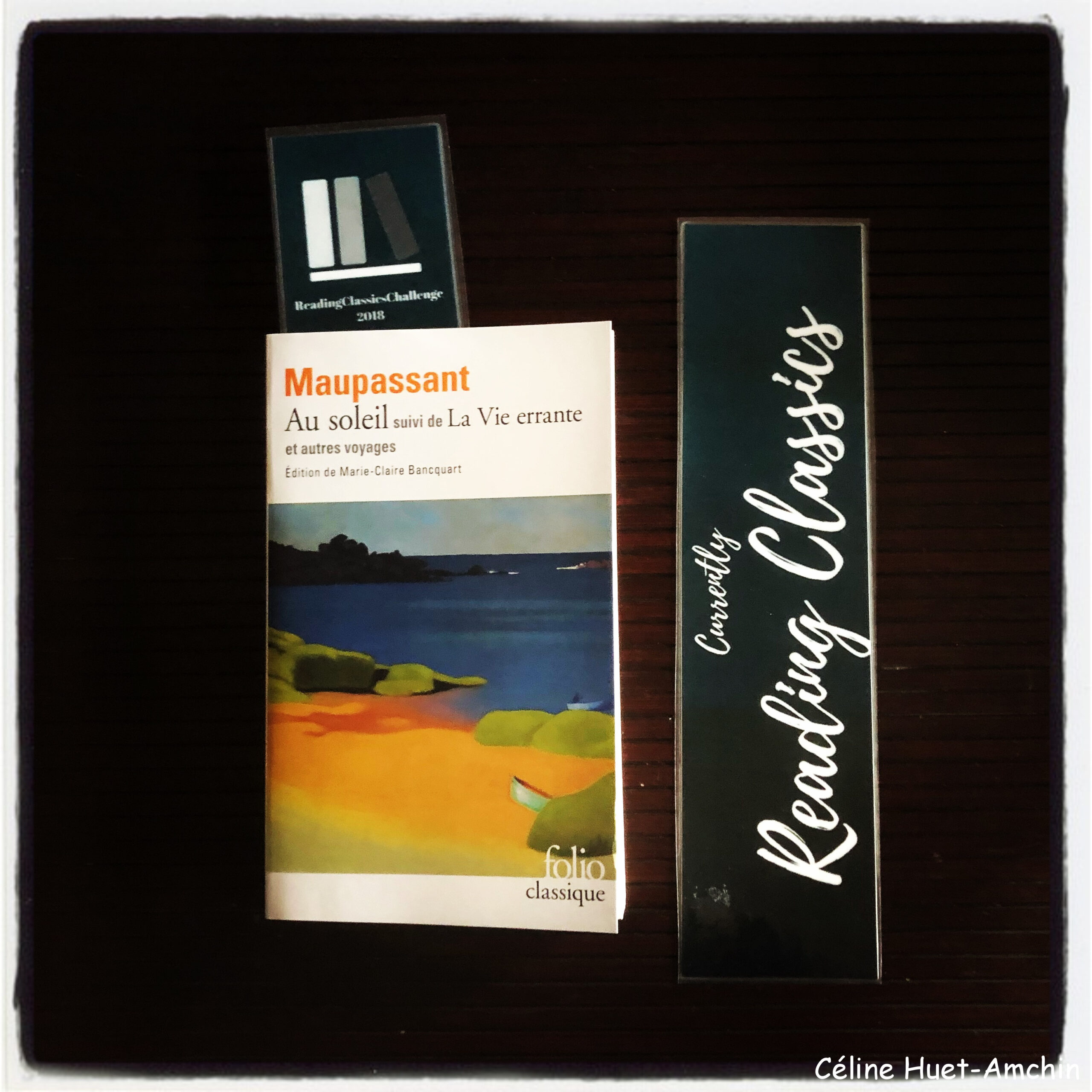 « Au soleil suivi de La vie errante et autres voyages » de Maupassant…