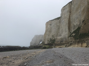 La Valleuse de Valaine et la Manneporte Etretat Normandie