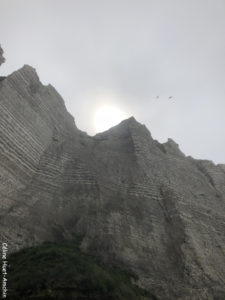 La falaise de Valaine Etretat Normandie