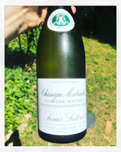 Chassagne-Montrachet Louis Latour 2014