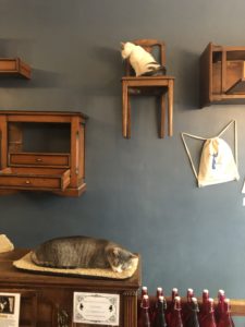 Le Café des Chats Paris 11