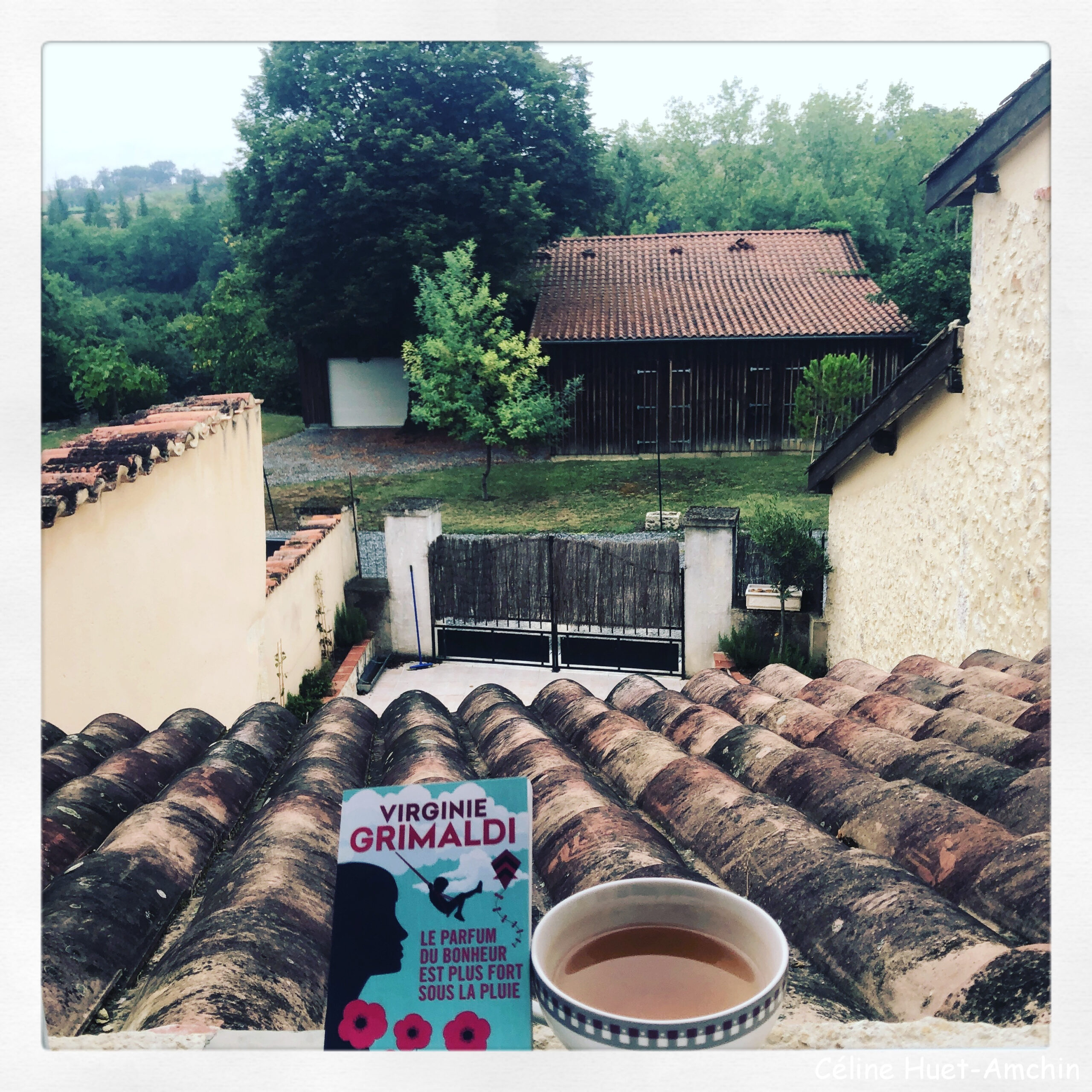 « Le parfum du bonheur est plus fort sous la pluie » de Virginie Grimaldi…