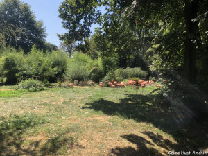 Flamants rose La Ménagerie Zoo du Jardin des Plantes Paris