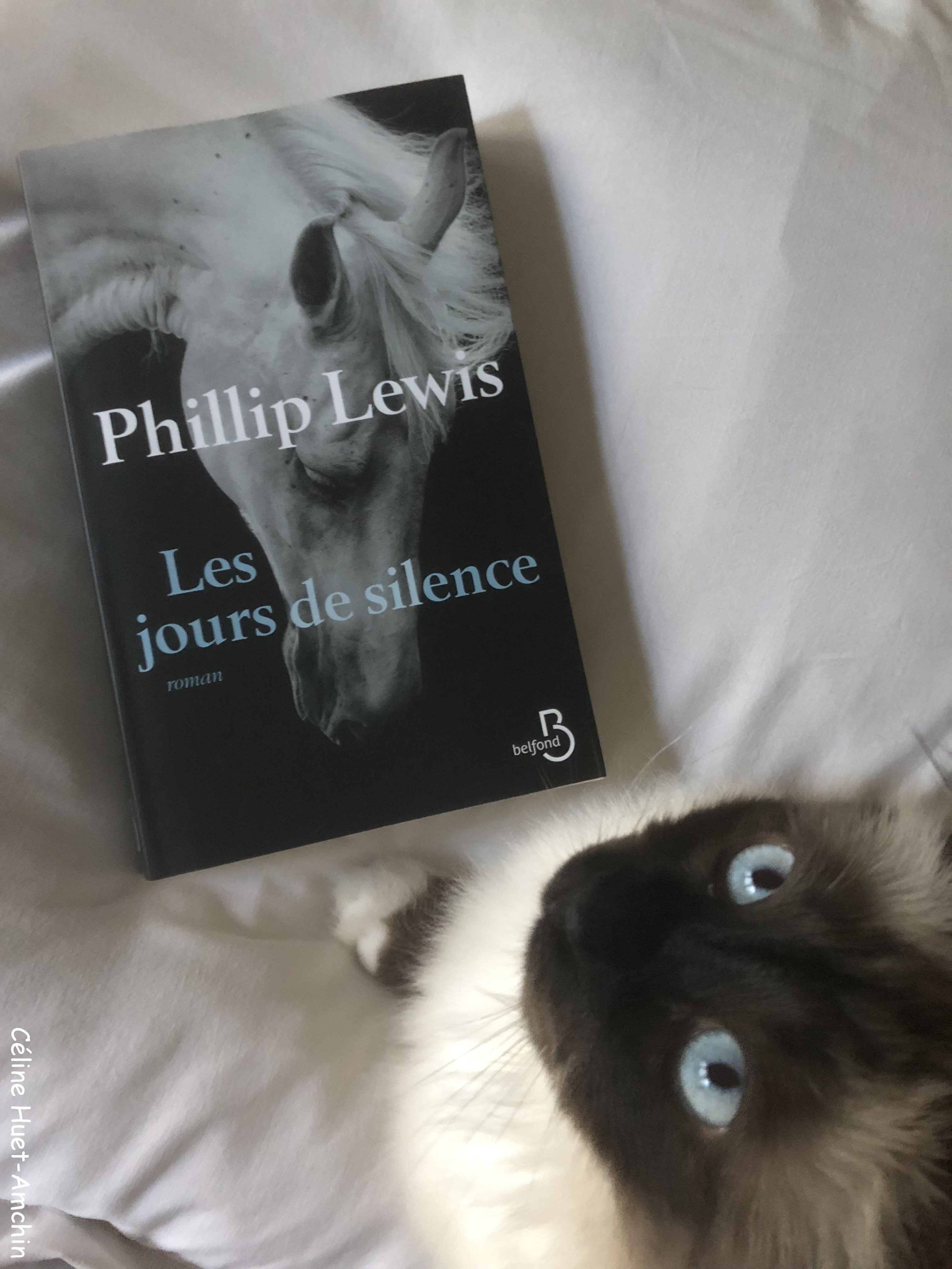 Les jours de silence Phillip Lewis Editions Belfond