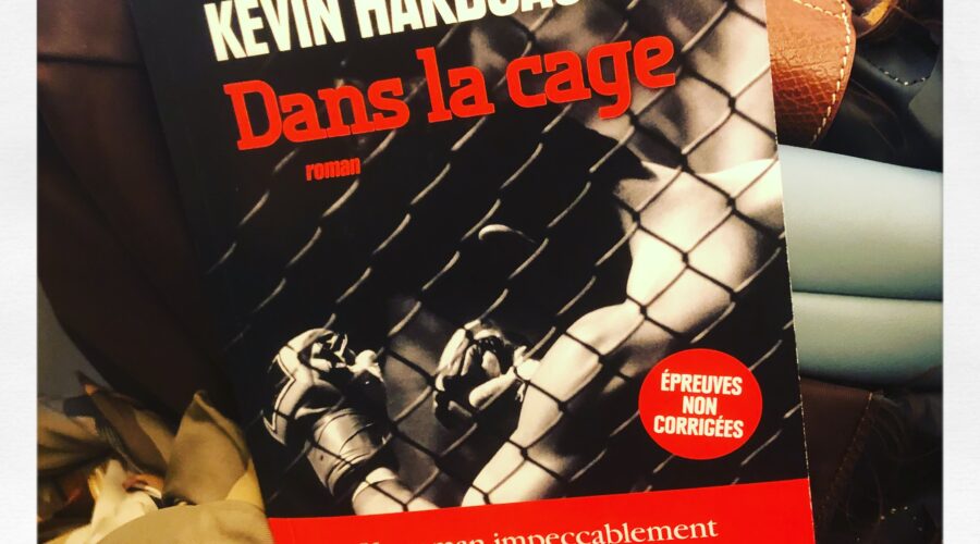 Dans la cage Kevin Hardcastle Editions Albin Michel