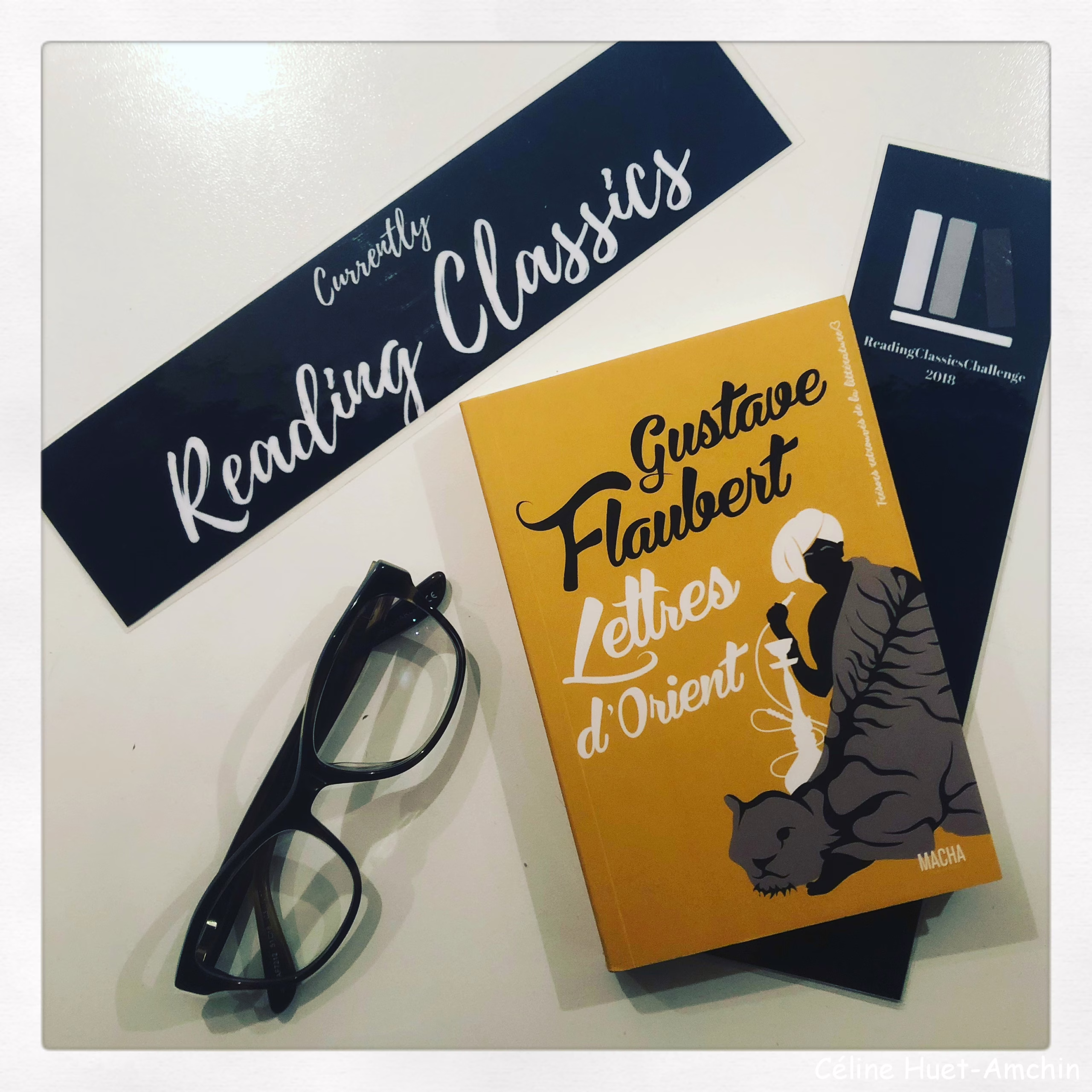 « Lettres d’Orient » de Gustave Flaubert…
