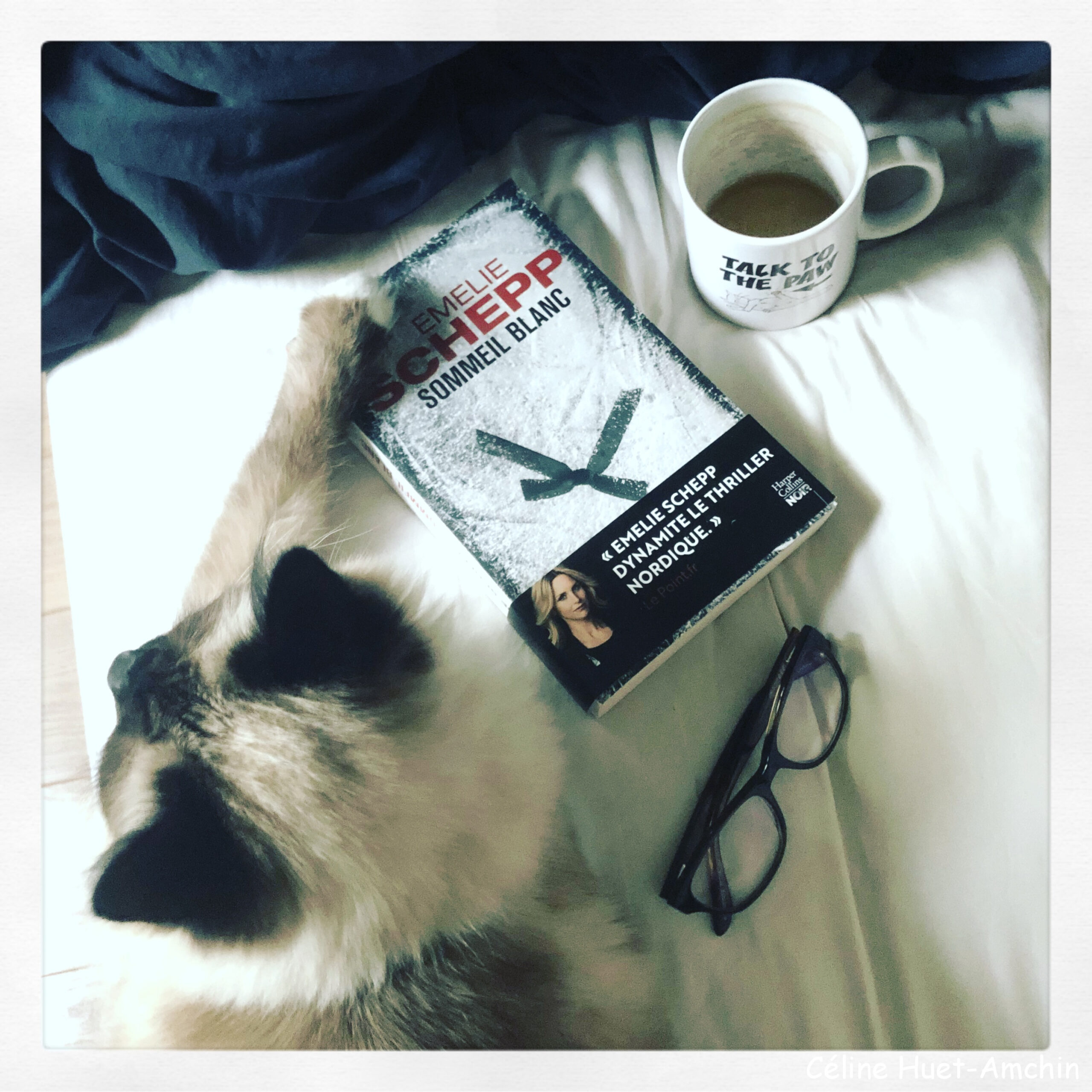 Sommeil blanc Emelie Schepp Editions Harper Collins Noir