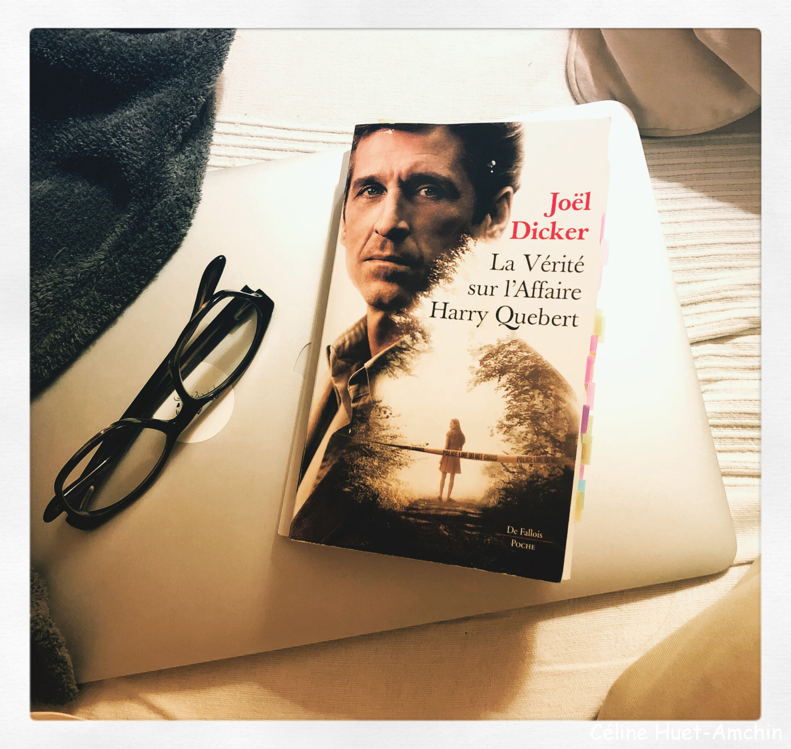 La Vérité sur l'Affaire Harry Quebert Joël Dicker Editions De Fallois Poche Réalisation Jean-Jacques Annaud