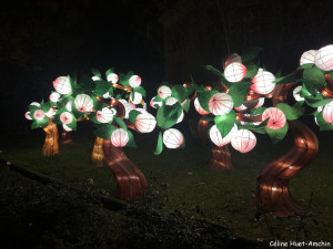 Espèces en voie d'illumination Jardin des Plantes Paris