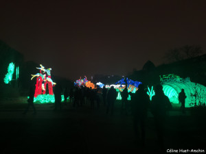 Espèces en voie d'illumination Jardin des Plantes Paris