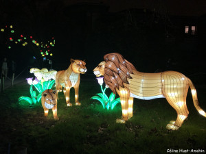 Espèces en voie d'illumination Jardin des Plantes Paris