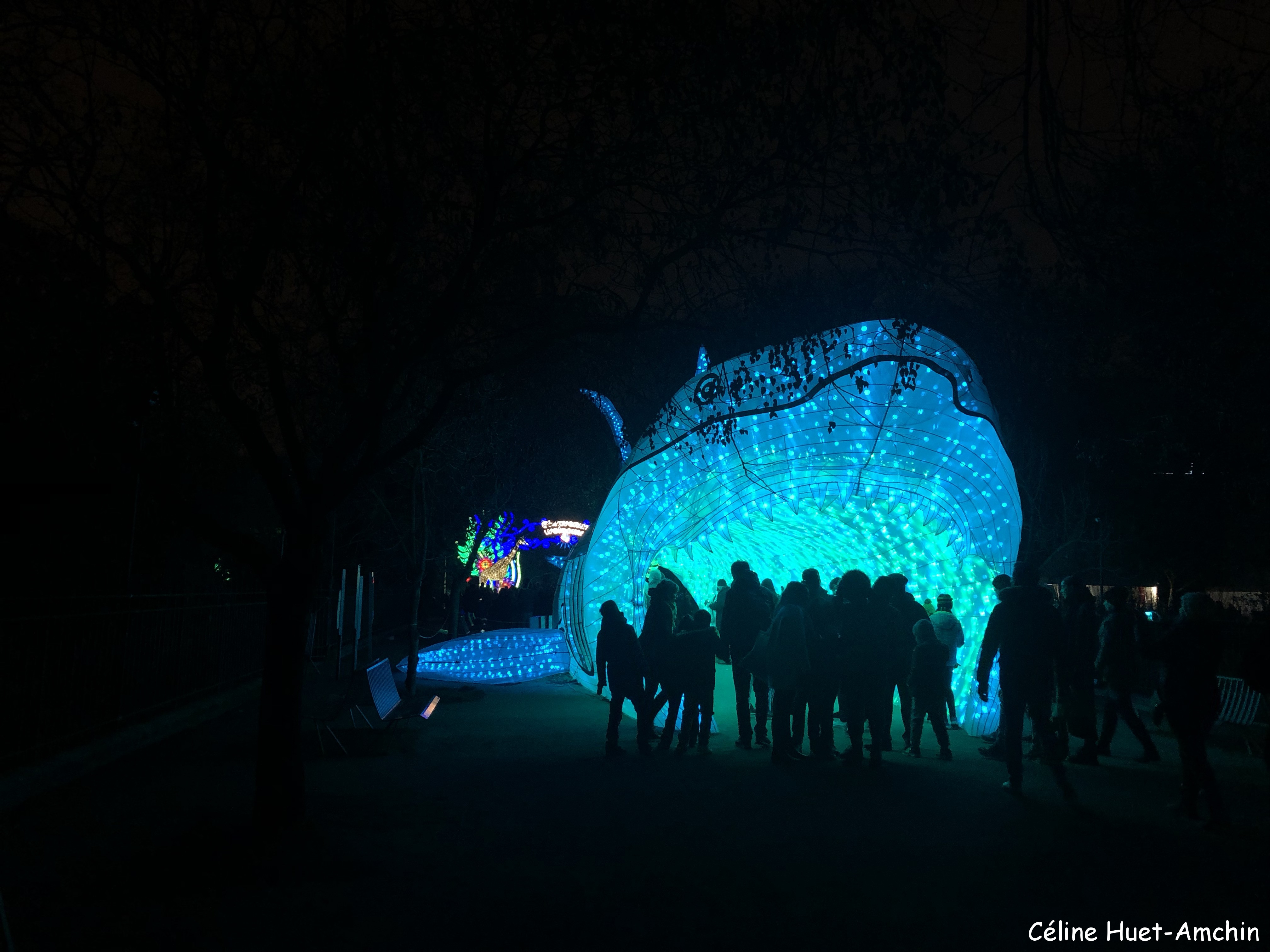 Espèces en voie d'illumination Jardin des Plantes Paris
