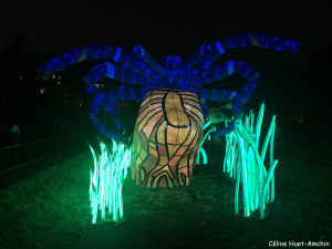 Espèces en voie d'illumination Jardin des Plantes Paris