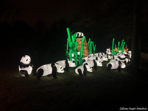 Espèces en voie d'illumination Jardin des Plantes Paris