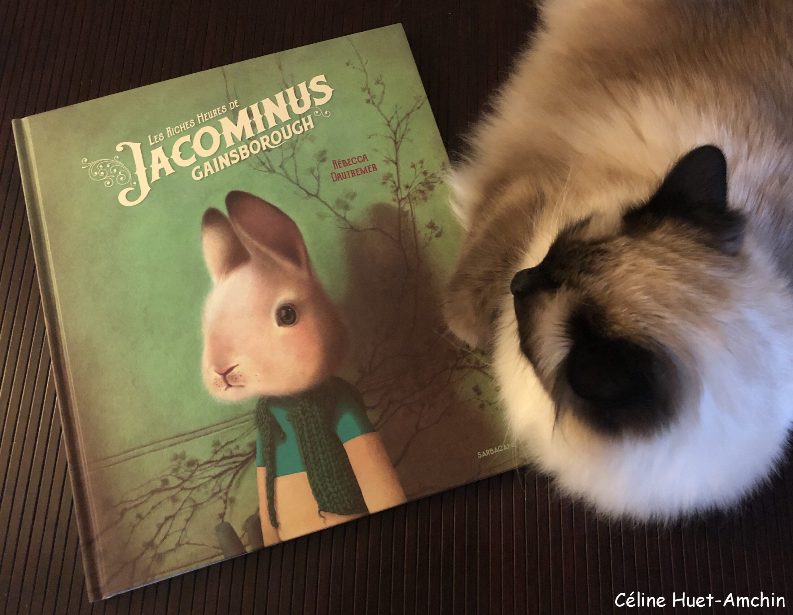 « Les riches heures de Jacominus Gainsborough » de Rébecca Dautremer…