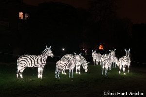 Espèces en voie d'illumination Jardin des Plantes Paris