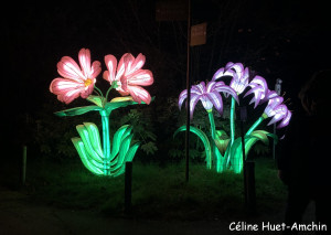 Espèces en voie d'illumination Jardin des Plantes Paris