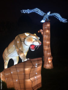 Espèces en voie d'illumination Jardin des Plantes Paris