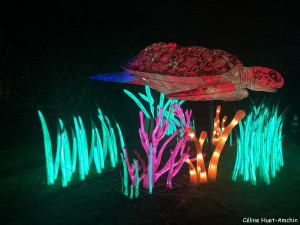 Espèces en voie d'illumination Jardin des Plantes Paris