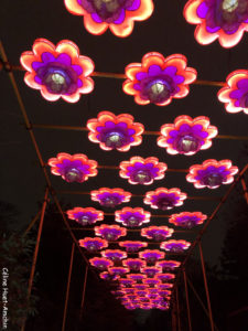 Espèces en voie d'illumination Jardin des Plantes Paris