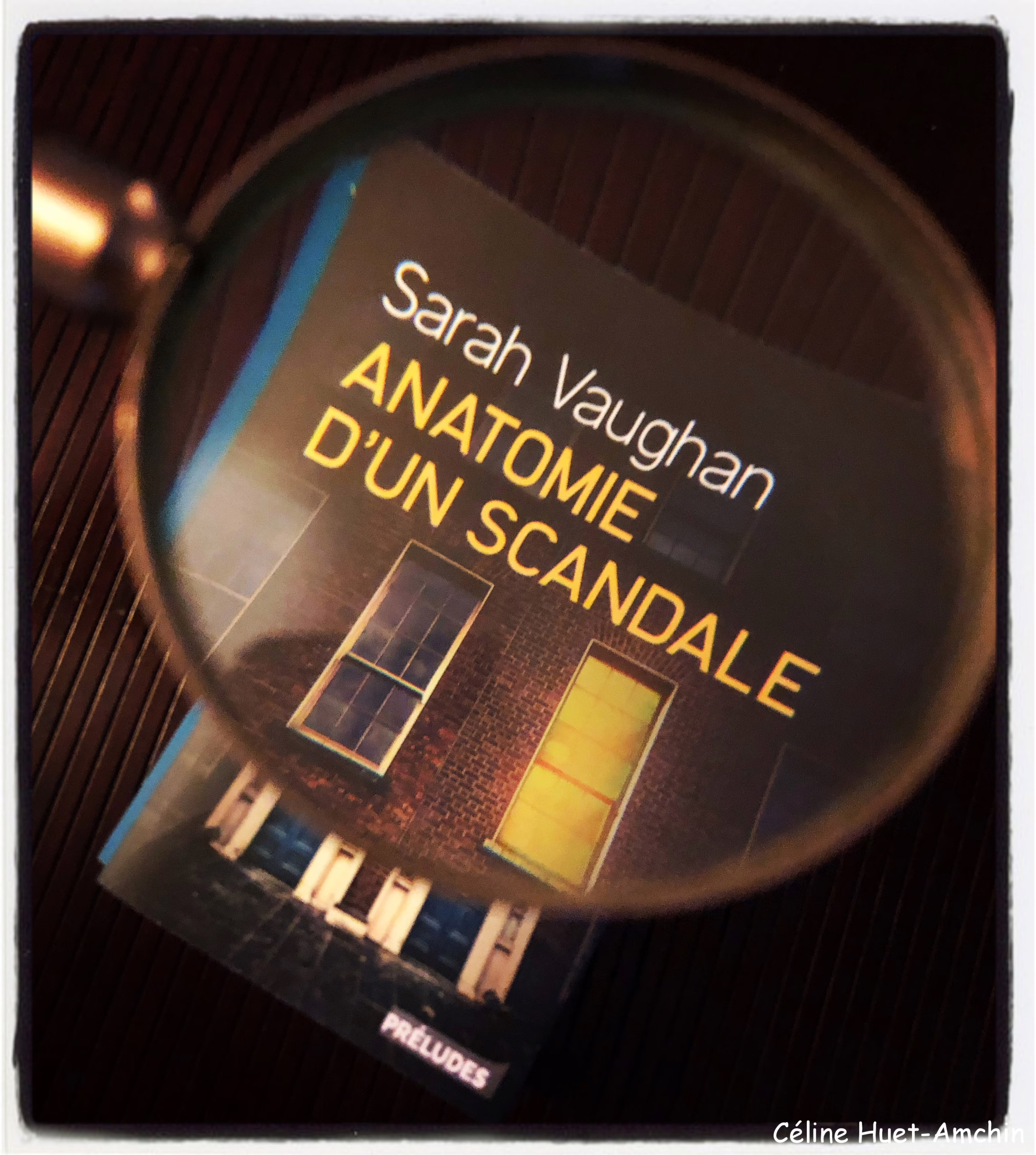 « Anatomie d’un scandale » de Sarah Vaughan…