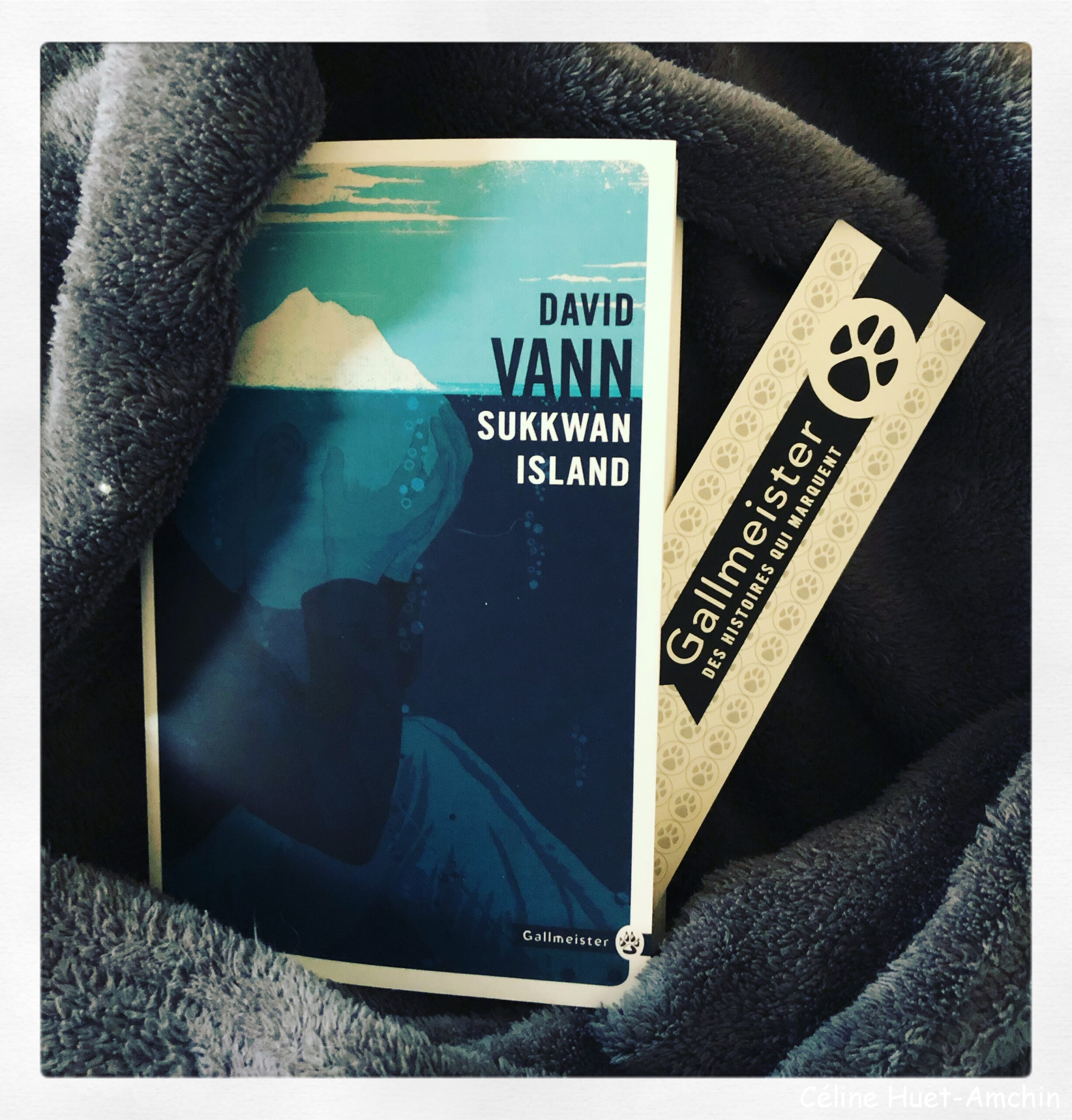 « Sukkwan Island » de David Vann…