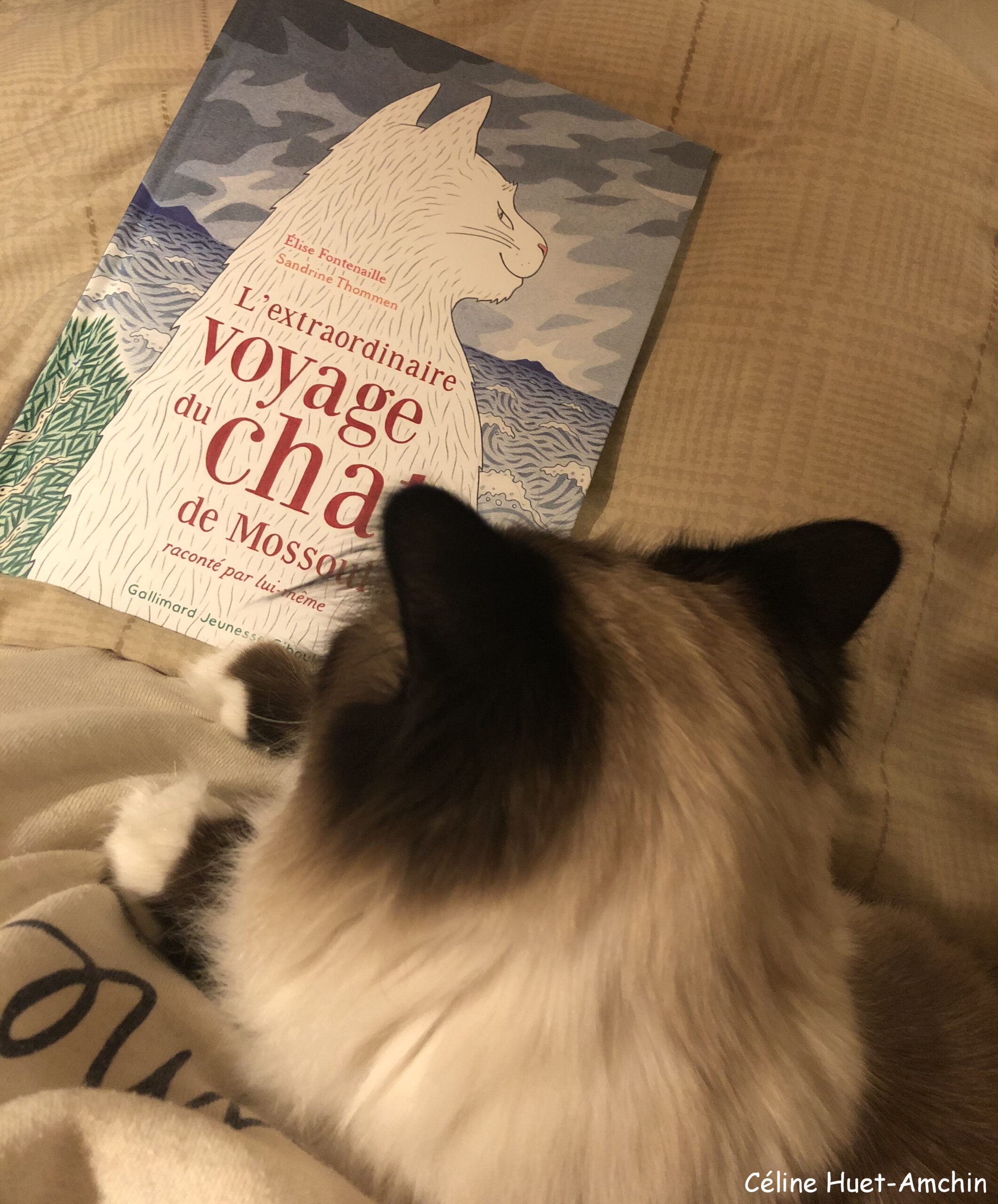 « L’extraordinaire voyage du chat de Mossoul raconté par lui-même » d’Elise Fontenaille & Sandrine Thommen…
