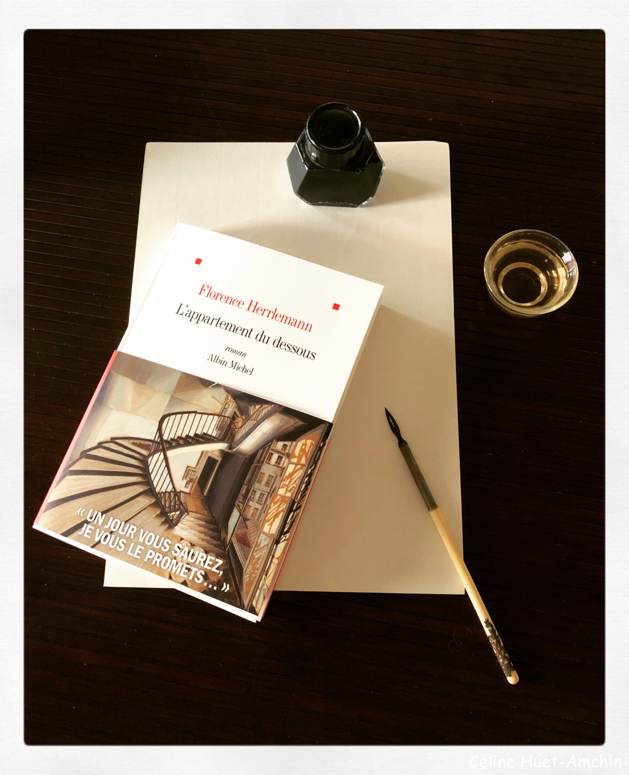 L'appartement du dessous Florence Herrlemann Editions Albin Michel