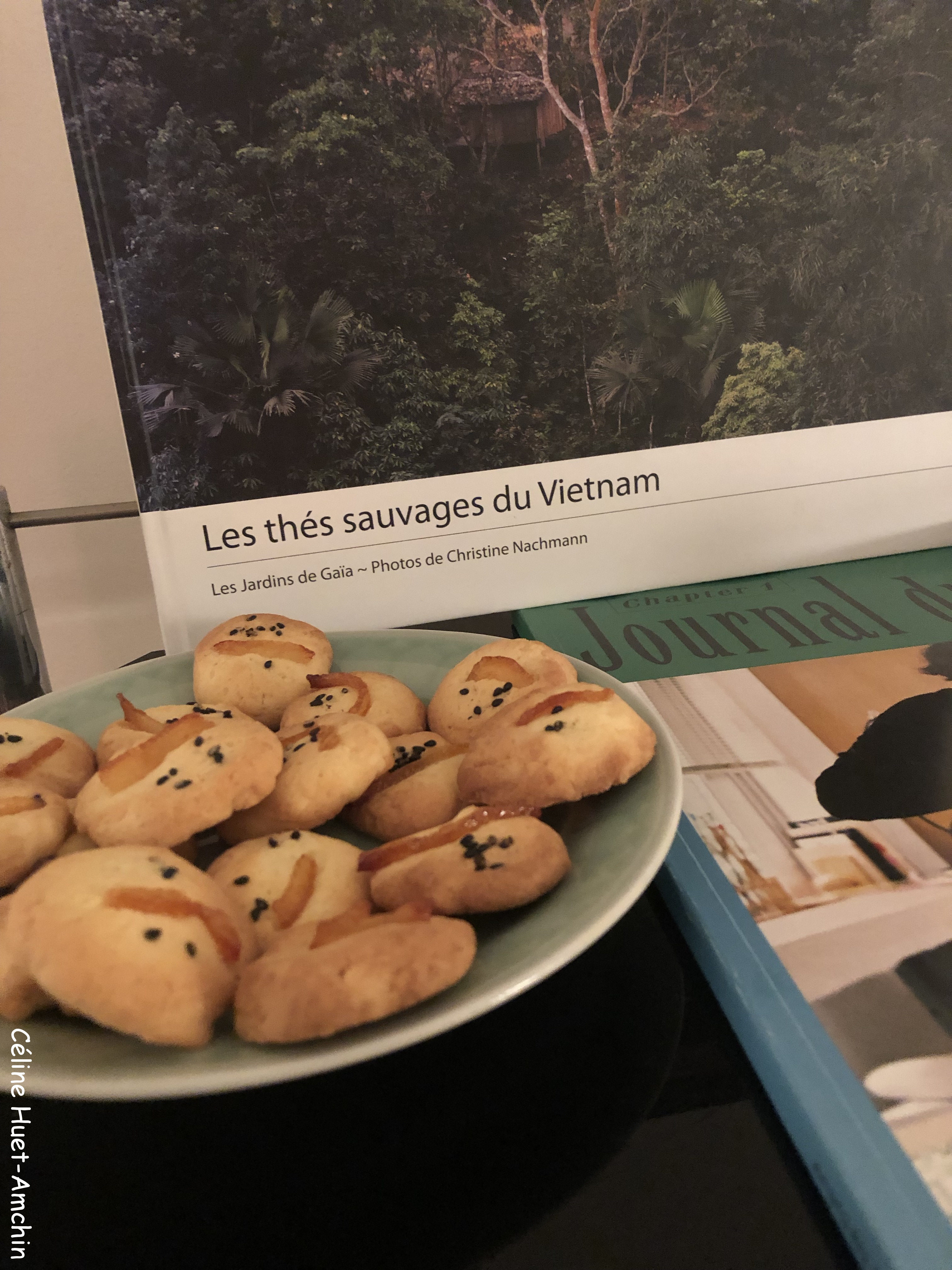 Atelier découverte thés vietnamiens Sérendipi-Thé