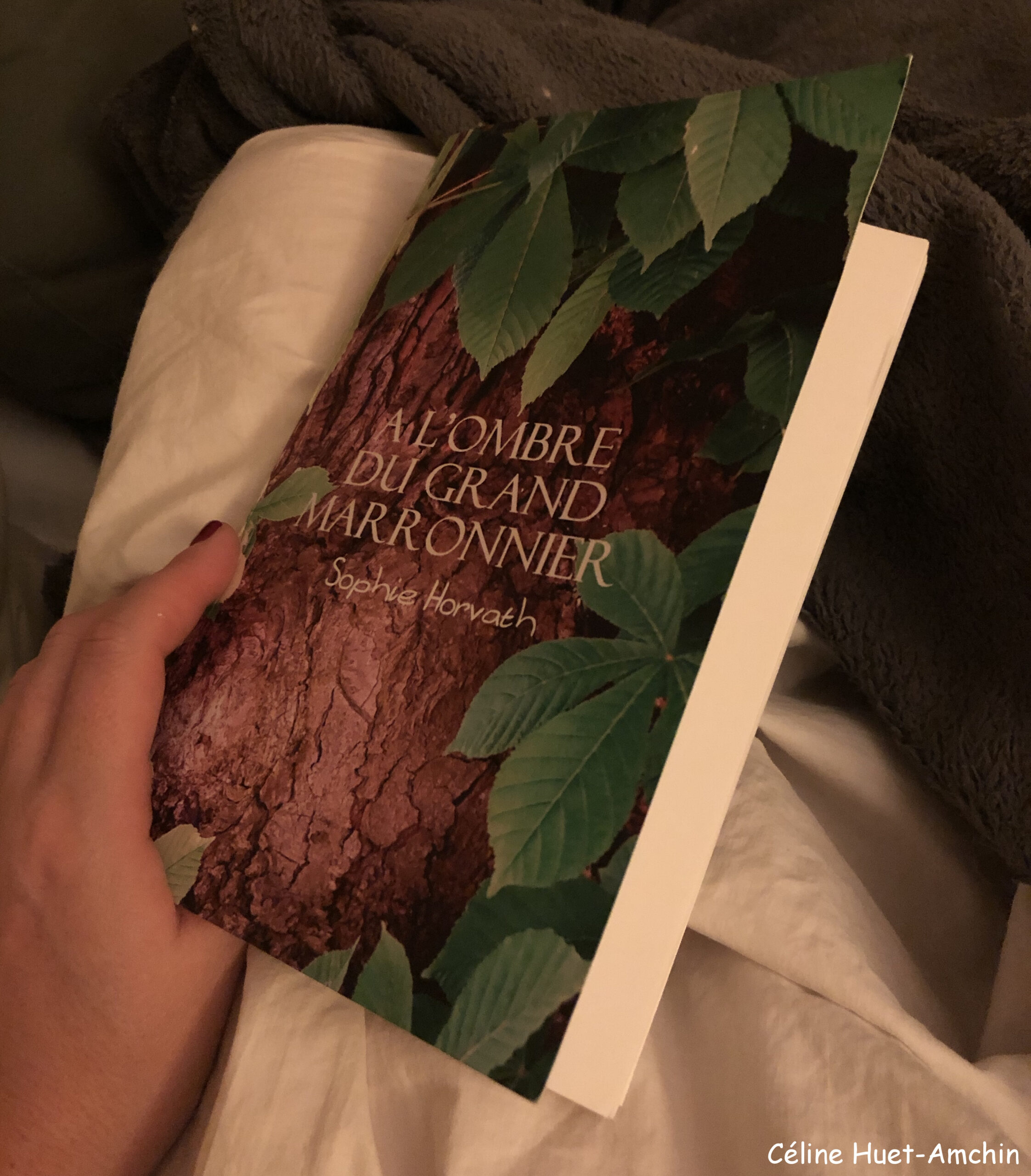 « À l&rsquo;ombre du grand marronnier » de Sophie Horvath…