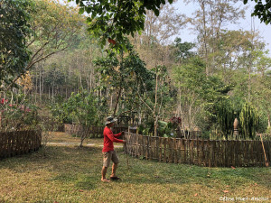 Pha Tad Ke Botanical Garden Laos Asie