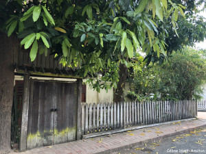 Luang Prabang Laos Asie