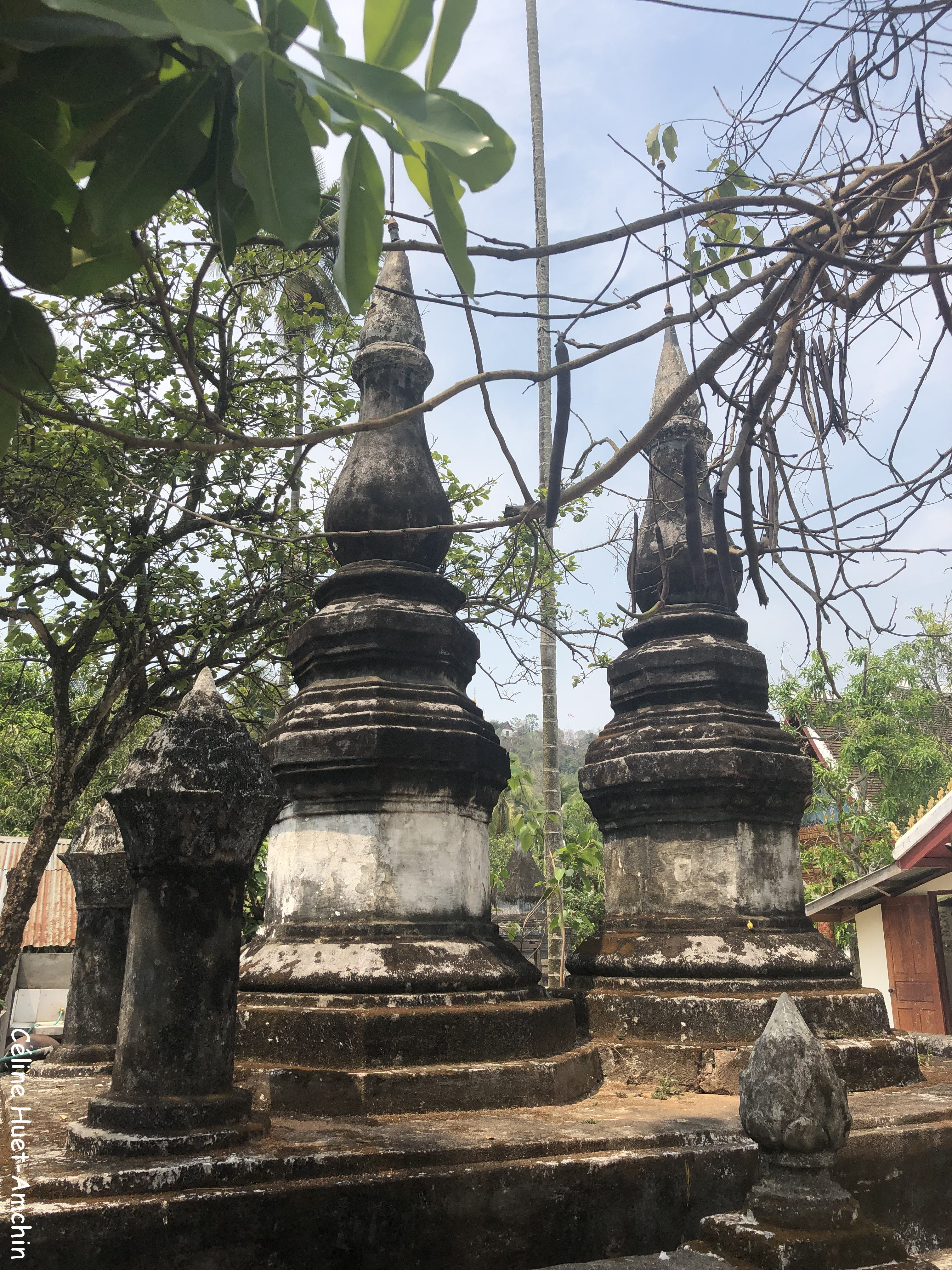 Vat Visoun (le plus ancien) Luang Prabang Laos Asie