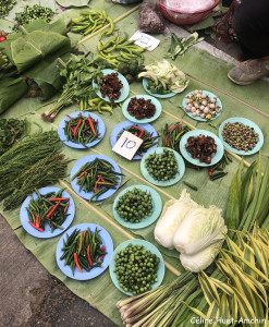 Marché Mae Chan Chiang Rai Thaïlande Asie