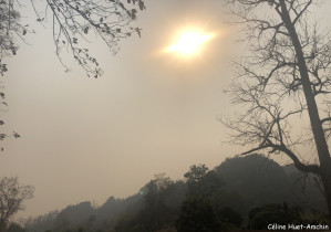 Sur la route Chiang Rai - Chiang Mai Thaïlande Asie