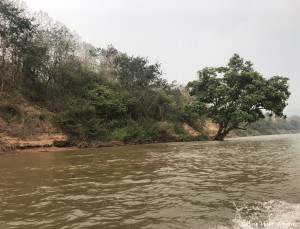 Sur le Mékong vers les grottes Laos Asie