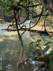 Cascades de Kuang Si Laos Asie