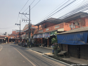 Doi Mae Salong Thaïlande Asie