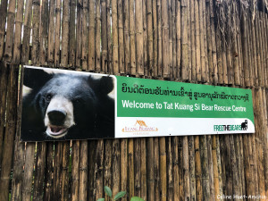 Centre de conservation des ours bruns d'Asie Kuang Si Laos