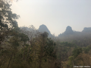 Sur la route Chiang Rai - Chiang Mai Thaïlande Asie