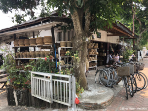 Luang Prabang Laos Asie