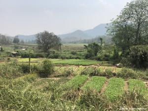 Sur la route entre Kuang Si et Luang Prabang Laos Asie