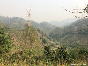 Sur la route dans les montagnes Thaïlande Asie